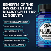 The Highest-Quality Formula to Restore Your Energy at the Cellular Level